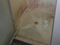 Shower Before, Cleanest Choice, LLC